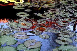 TEICH 4