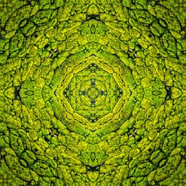 Vert magique - Portail 1 sur Helmut Martin - The Art of Stone - Steinkunst & Photographie