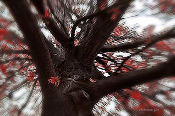Turn tree