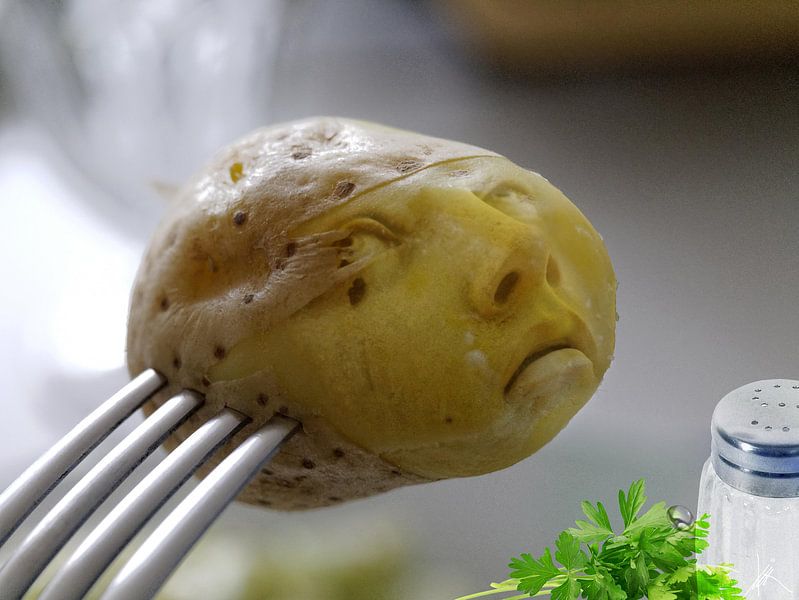 The last minute in the life of a potato - H. Fischer by mimone art