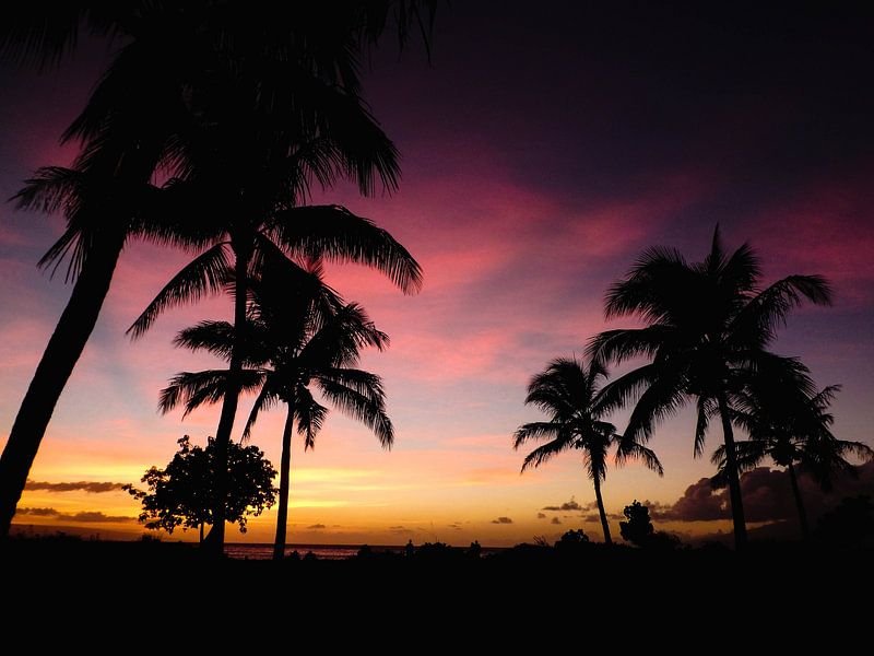 Hawaii by Hello Pompoyo