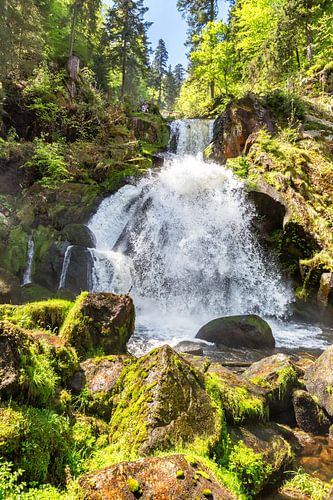 Triberg Waterfall