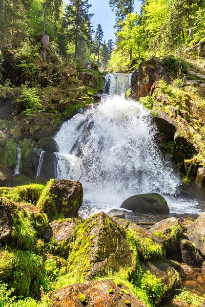 Triberger Wasserfall von Christoph Hermann