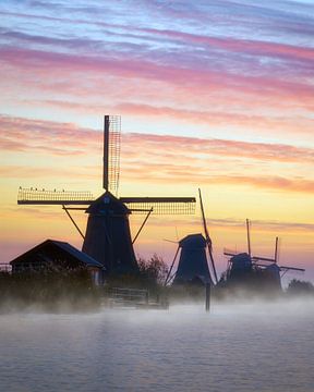 Lever de soleil à Kinderdijk avec brouillard sur Roy Poots