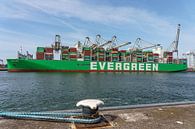 Evergreen's container ship Ever Aria. by Jaap van den Berg thumbnail