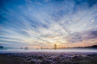 Sonnenaufgang über das Heidekraut von Joran Quinten Miniaturansicht