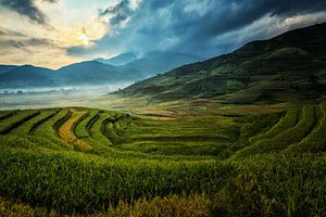 Landwirtschaft in China