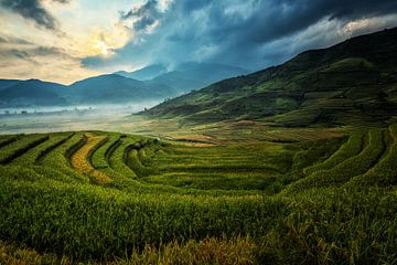 Agriculture in China