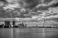 Zwart Wit, Rotterdam van Sander Meertins thumbnail