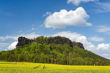 Lilienstein Saxon Switzerland in spring van Michael Valjak
