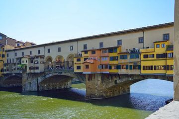 Kleurrijke gebouwen op de Ponte Vecchio van Frank's Awesome Travels