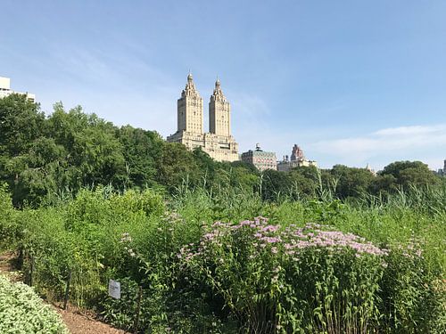 Hoog gebouw New York