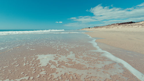 Frein côtier - Île de Ré