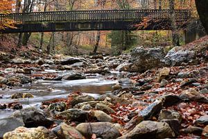Eine Holzbrücke über einen Fluss