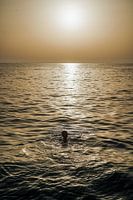 Schwimmen bei Sonnenuntergang