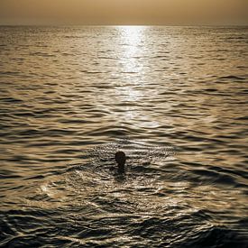 Schwimmen bei Sonnenuntergang von Bart Houx
