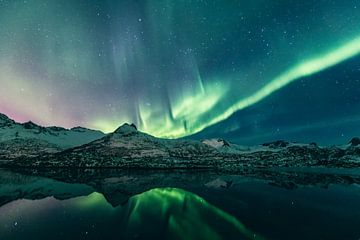 Aurore boréale au-dessus des îles Lofoten en Norvège. sur Sjoerd van der Wal Photographie