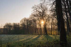 eine Decke aus Morgensonne