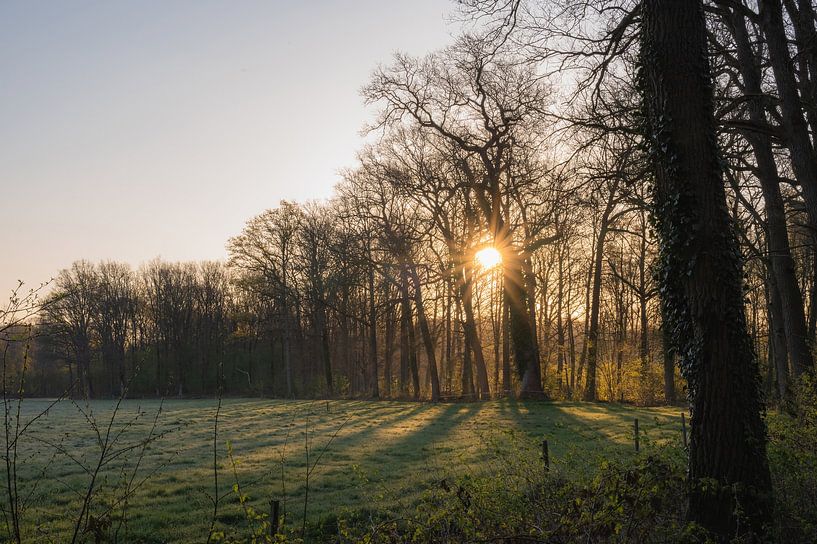a blanket of morning sun by Tania Perneel