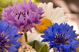 Kornblumen von Jolanda de Jong-Jansen