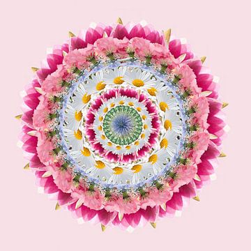 Pink Mandala van Klaartje Majoor