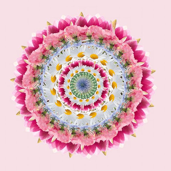 Pink Mandala by Klaartje Majoor