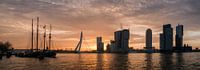 Rotterdam Panorama in de ochtendzon (maas met erasmusbrug) van Erik van 't Hof thumbnail