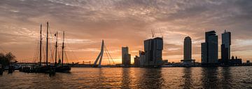 Panorama de Rotterdam au soleil du matin (Meuse avec le pont Erasmus) sur Erik van 't Hof