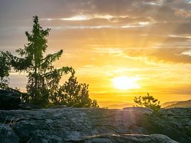 Quirl, Saksisch Zwitserland - Zonnestralen over Pfaffendorf
