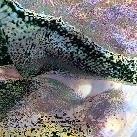 Teilung by Peter Norden