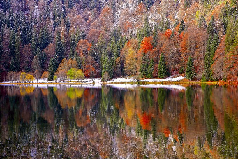 Lake Feldsee in the Black Forest by Patrick Lohmüller