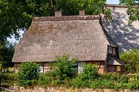 Historische boerderij, Wilsede, Lüneburger Heide, Nedersaksen, Duitsland van Torsten Krüger thumbnail