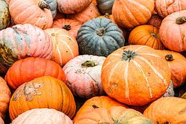 Foto eines Stapels von Kürbissen von Jack Tummers