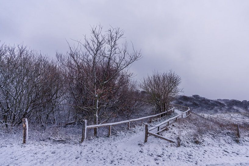 Winter auf Texel - Eierland-Leuchtturm von Texel360Fotografie Richard Heerschap