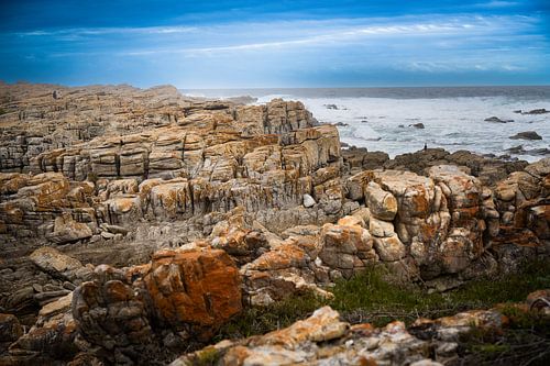 Rocks along the coast at St Francis Bay