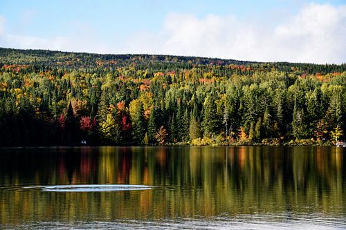 Reflectie op het meer in de herfst
