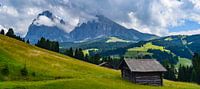 Le plus grand pâturage alpin d'Europe