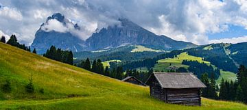 Europe's largest alpine pasture von Jarne Buttiens