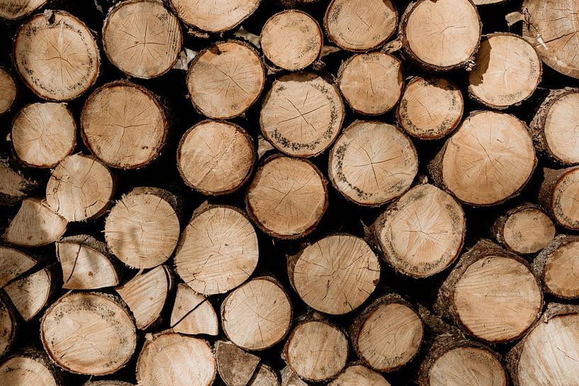 Pile of wood by Myrthe Vlasveld