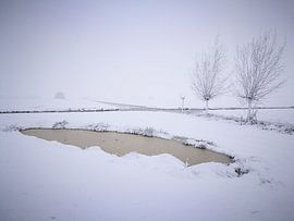 Winter in the parc 2 / Winter in het parc 2