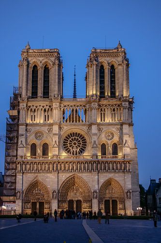 Parijs Notre dame in de nacht