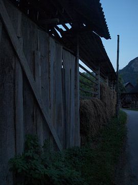 Schuur en hooirek in Sloveens boerendorp by Rinke Velds