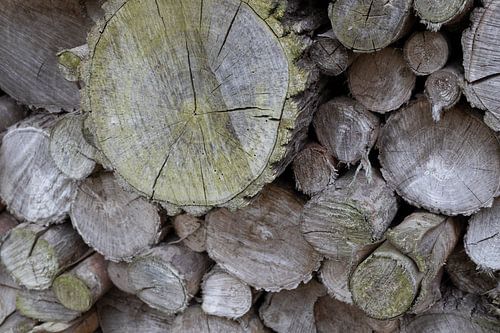 hout gezaag en gestapeld