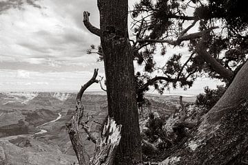 Grand Canyon Schwarz und Weiß von Jeroen de Weerd