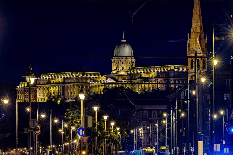 Der Burgpalast von Budapest von Roland Brack