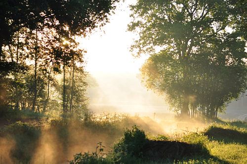 ochtendzon langs fietspad oldeholtpade