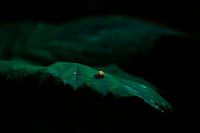 The little things in life.