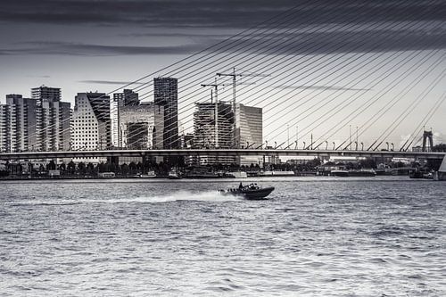 Erasmusbrug Rotterdam