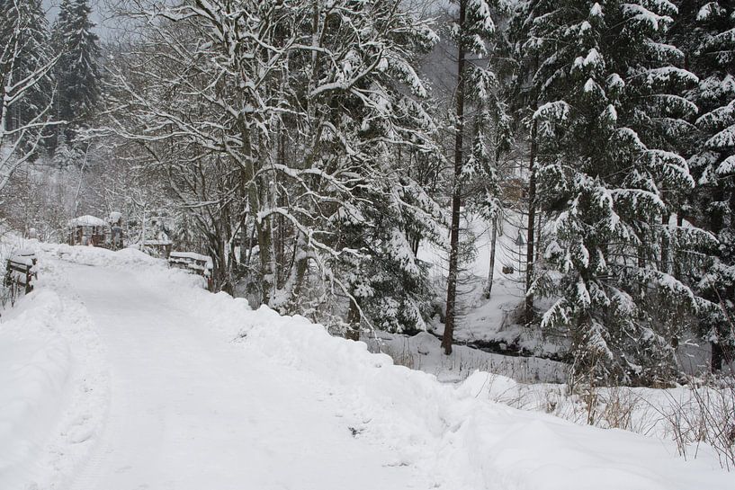 sneeuw von Diana Edwards