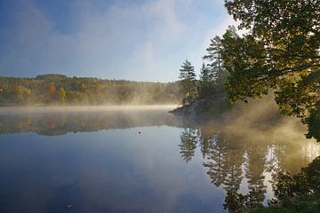 Autumn morning at the lake by Reinhard  Pantke